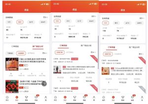 2025最新京东蓝海项目，0 门槛日入 1k+，小白宝妈轻松上手【揭秘】-巅峰资源网