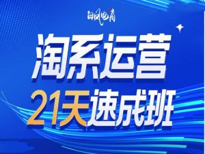 淘系运营21天速成班35期，年前最后一波和2025方向-巅峰资源网