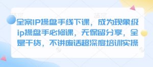 全案IP操盘手线下课,成为现象级ip操盘手必修课,无保留分享,全是干货,不讲废话超深度培训实操-巅峰资源网
