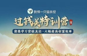 剽悍一只猫-过钱关特训营，学习营销真经 大幅度提高创富效率-巅峰资源网