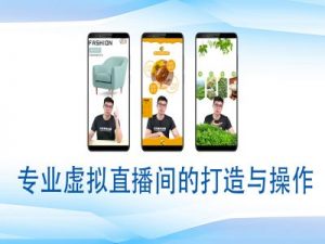 个人虚拟直播间的搭建与操作，专业虚拟直播间的打造与操作-巅峰资源网