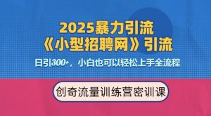 2025最新暴力引流方法，招聘平台一天引流300+，日变现多张，专业人士力荐-巅峰资源网
