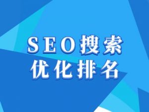 抖音搜索SEO教程，抖音SEO搜索优化排名-巅峰资源网