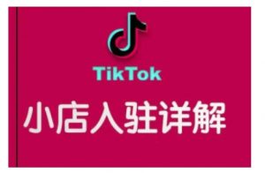 TikTok跨境小店运营全攻略，帮助你独立运营TK跨境小店的能力，实现销量增长-巅峰资源网