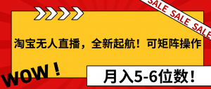 淘宝无人直播，全新起航！可矩阵操作，月入5-6位数！-巅峰资源网