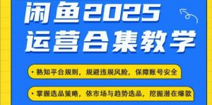 2025闲鱼电商运营全集，2025最新咸鱼玩法-巅峰资源网