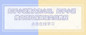 知乎小说推文怎么玩，知乎小说推文项目保姆级实战教程-巅峰资源网