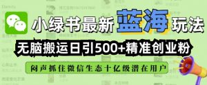 小绿书无脑搬运引流，全自动日引500精准创业粉，微信生态内又一个闷声发财的机会-巅峰资源网