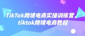TikTok跨境电商实操训练营，tiktok跨境电商教程-巅峰资源网