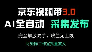京东视频带货3.0，Ai全自动采集＋自动发布，完全解放双手，收入无上限...-巅峰资源网