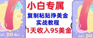 复制粘贴挣美金，0门槛，1天收入95美刀，3分钟学会，内部教程(首次公开)-巅峰资源网