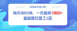副业她只用了1招，每天30分钟，无脑二创，一天最高1.5k-巅峰资源网