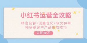 小红书运营全攻略，精准获客+流量优化+软文种草，揭秘高客单产品投放技巧-巅峰资源网