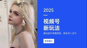 搬运老外奇葩视频，撸视频号分成计划收益，每天只需一小时，新手小白轻松月入过W-巅峰资源网