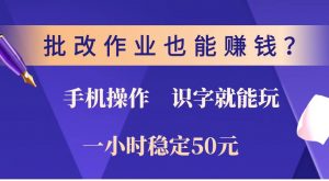 批改作业也能赚钱？0门槛手机项目，识字就能玩！一小时稳定50元！-巅峰资源网
