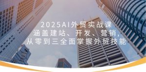 2025AI外贸实战课：涵盖建站、开发、营销, 从零到三全面掌握外贸技能-巅峰资源网