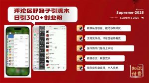 评论区野路子截流创业粉新方法，日被动加300+创业粉，精准引流被动添加...-巅峰资源网