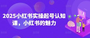 2025小红书实操起号认知课，小红书的魅力-巅峰资源网