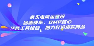 京东电商运营班：涵盖快车，DMP核心及各工具组合，助力打造爆款商品-巅峰资源网
