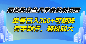 照抄答案当天学会的新项目，单号日入300 +可矩阵，有手就行，轻松放大-巅峰资源网