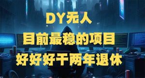 DY无人，目前最稳的项目，矩阵放大边旅游边赚钱，好好好干两年退休-巅峰资源网
