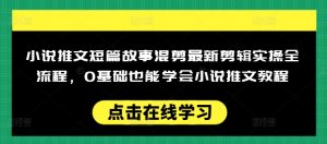 小说推文短篇故事混剪最新剪辑实操全流程，0基础也能学会小说推文教程，肯干多发日入多张-巅峰资源网