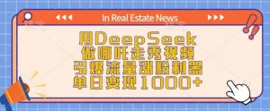 用DeepSeek做哪吒走秀视频，引爆流量涨粉利器，单日变现1k-巅峰资源网