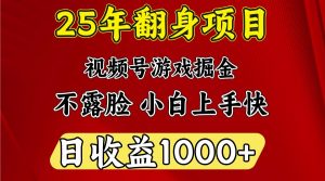 一天收益1000+ 25年开年落地好项目-巅峰资源网