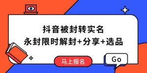 抖音被封转实名攻略，永久封禁也能限时解封，分享解封后高效选品技巧-巅峰资源网