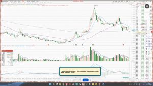 大师兄·鹿鼎山系列内部课程(更新2025年1月)-巅峰资源网