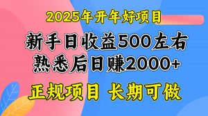 2025开年好项目，单号日收益2000左右-巅峰资源网