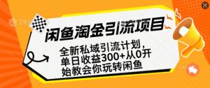 闲鱼淘金私域引流计划，从0开始玩转闲鱼，副业也可以挣到全职的工资-巅峰资源网