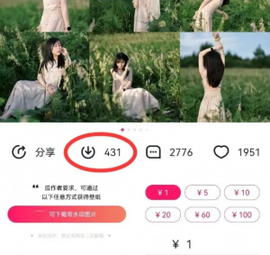 最新图虫搬运项目，收益无上限，利用AI小白也可日赚500+-巅峰资源网