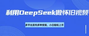利用DeepSeek做怀旧视频，流量号多渠道变现能力强-巅峰资源网