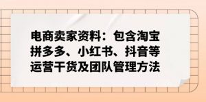 电商卖家资料：包含淘宝、拼多多、小红书、抖音等运营干货及团队管理方法-巅峰资源网