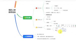 苏博士·淘宝精细化铺货运营陪跑(部分更新至2025)-巅峰资源网