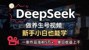 小白用DeepSeek做养生号，一条作品涨粉5万+，单日收益上千-巅峰资源网