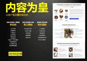 刘老师·外贸询盘增长秘籍从0到1的实战指南-巅峰资源网
