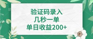 验证码录入，几秒一单，单日收益200+-巅峰资源网