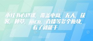 小红书必修课，覆盖电商，无人，获客，种草，mcn，直播等多个板块，看了就能干-巅峰资源网