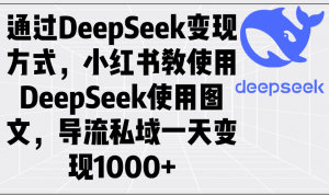 通过DeepSeek变现方式，小红书教使用DeepSeek图文，导流私域一天变现1000+-巅峰资源网