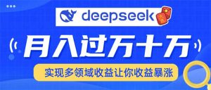 用DeepSeek席卷各大平台，快速上手实现多领域，让你收入猛增-巅峰资源网