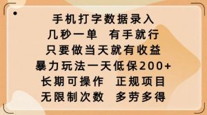 手机打字数据录入，几秒一单，有手就行，只要做当天就有收益，暴力玩法一天低保2张-巅峰资源网