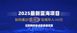 2025最新蓝海项目，零门槛轻松复制，月入10万+，新手也能操作！-巅峰资源网