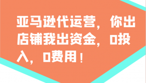 亚马逊代运营，你出店铺我出资金，0投入，0费用，无责任每天300分红，赢亏我承担-巅峰资源网