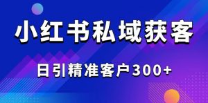 2025最新小红书平台引流获客截流自热玩法讲解，日引精准客户300+-巅峰资源网