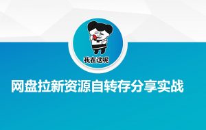 网盘拉新资源自动转存分享实战-巅峰资源网
