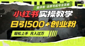 2月小红书最新日引500+创业粉实操教学【超详细】小白轻松上手，月入1W+，附小红书养号起号SOP-巅峰资源网