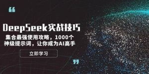 DeepSeek实战技巧：集合最强使用攻略，1000个神级提示词，让你成为AI高手-巅峰资源网