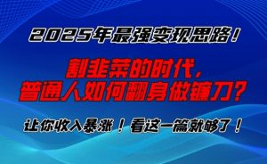 2025年最强变现思路，割韭菜的时代， 普通人如何翻身做镰刀？【揭秘】-巅峰资源网